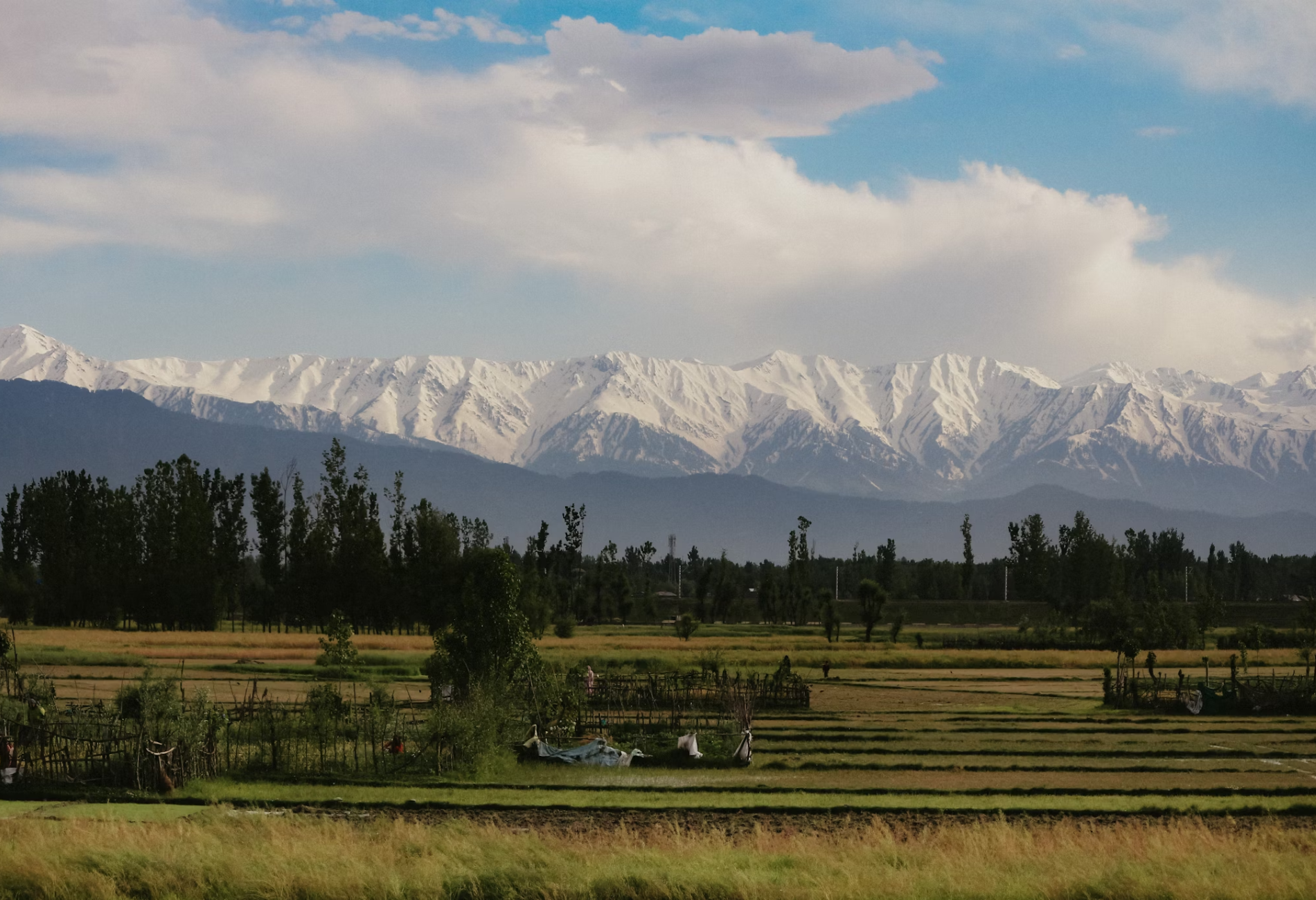 5-night-6-day-kashmir-package.png