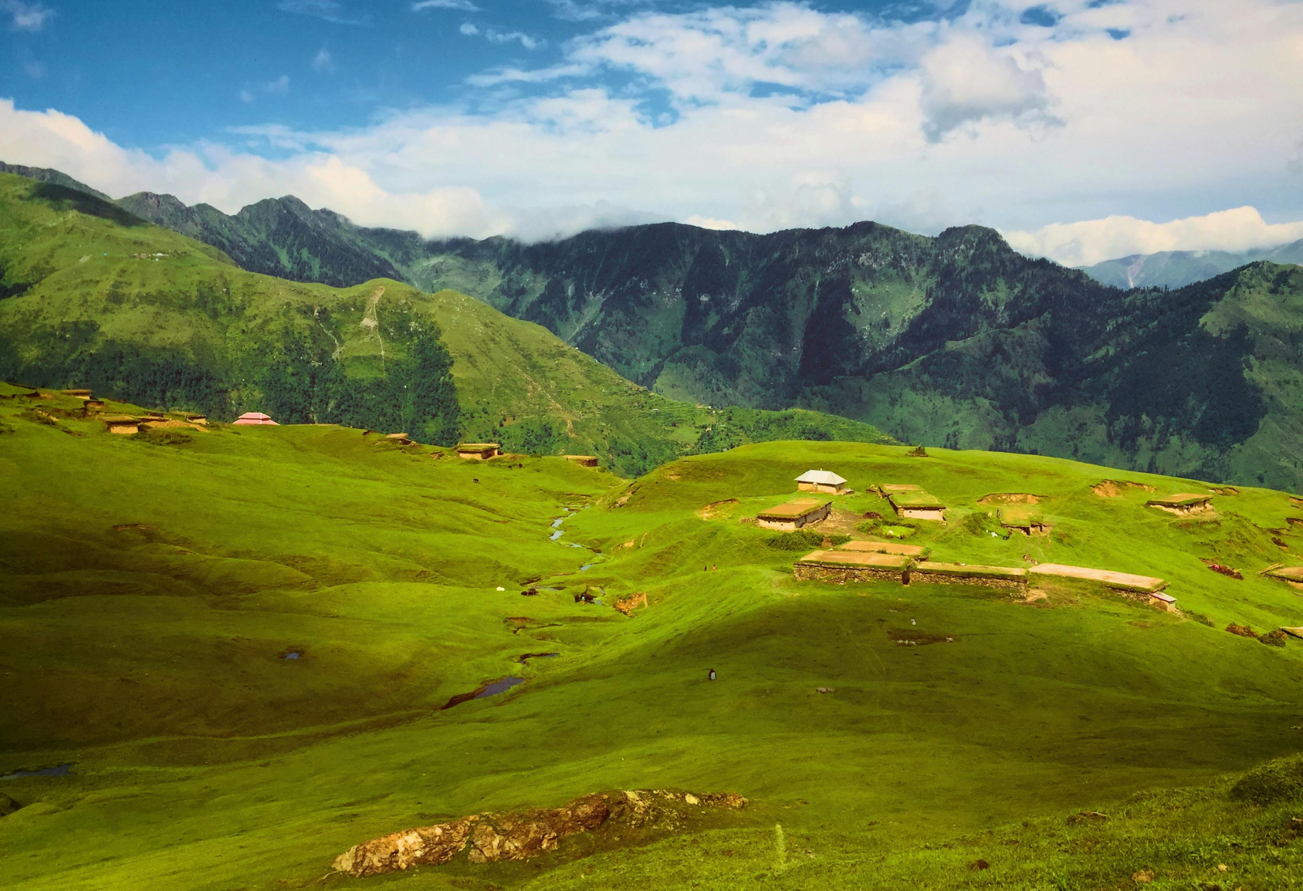 best-group-tour-for-kashmir.png