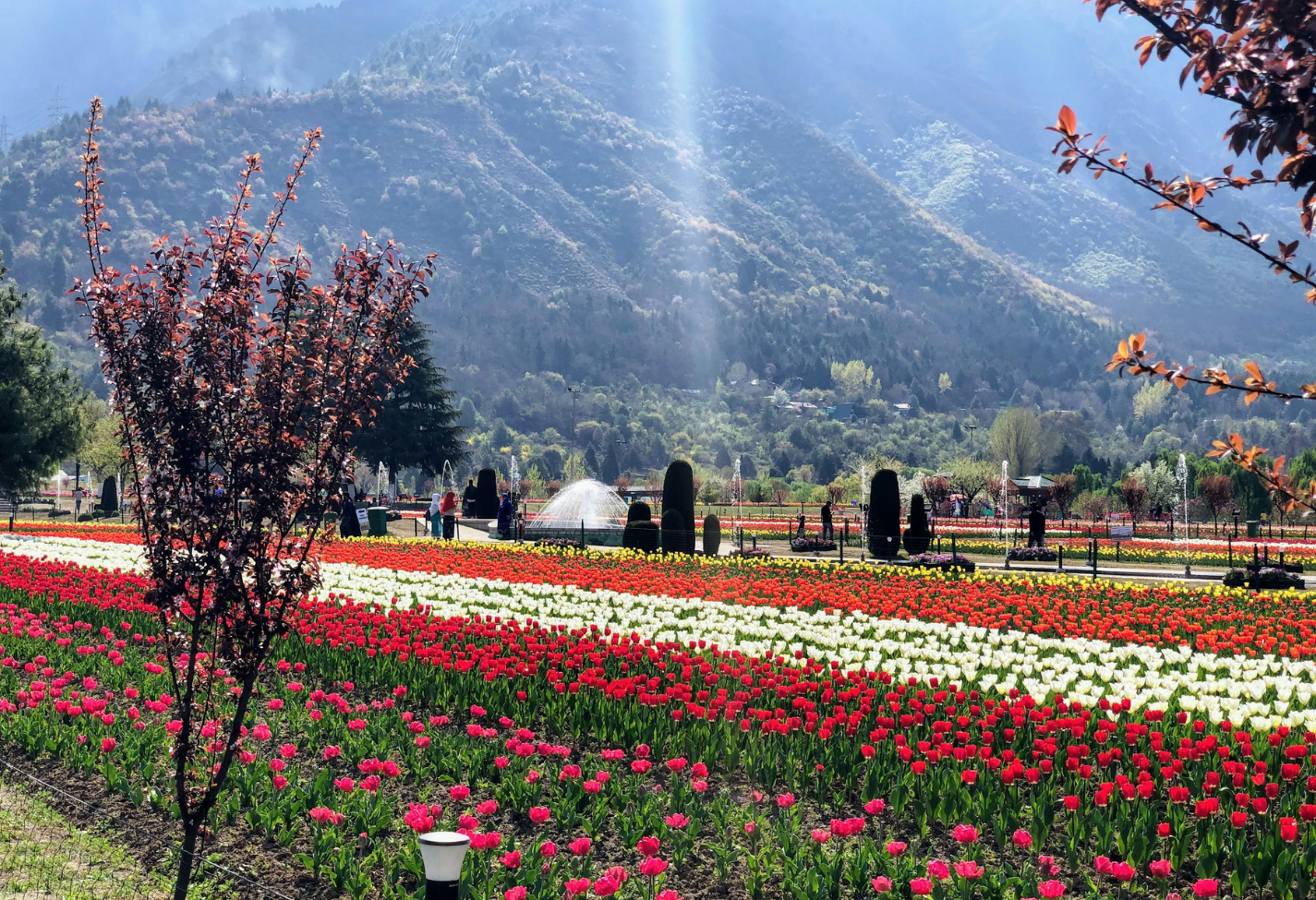 budget-kashmir-honeymoon-package.png