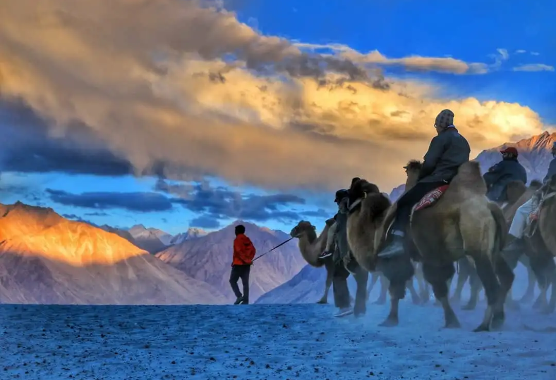 excursion-in-nubra-valley.png