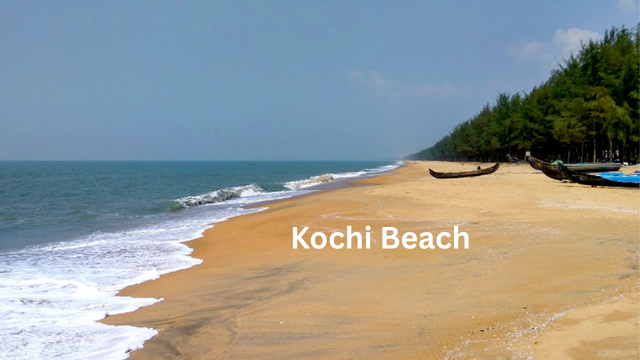 kochi-beach.png