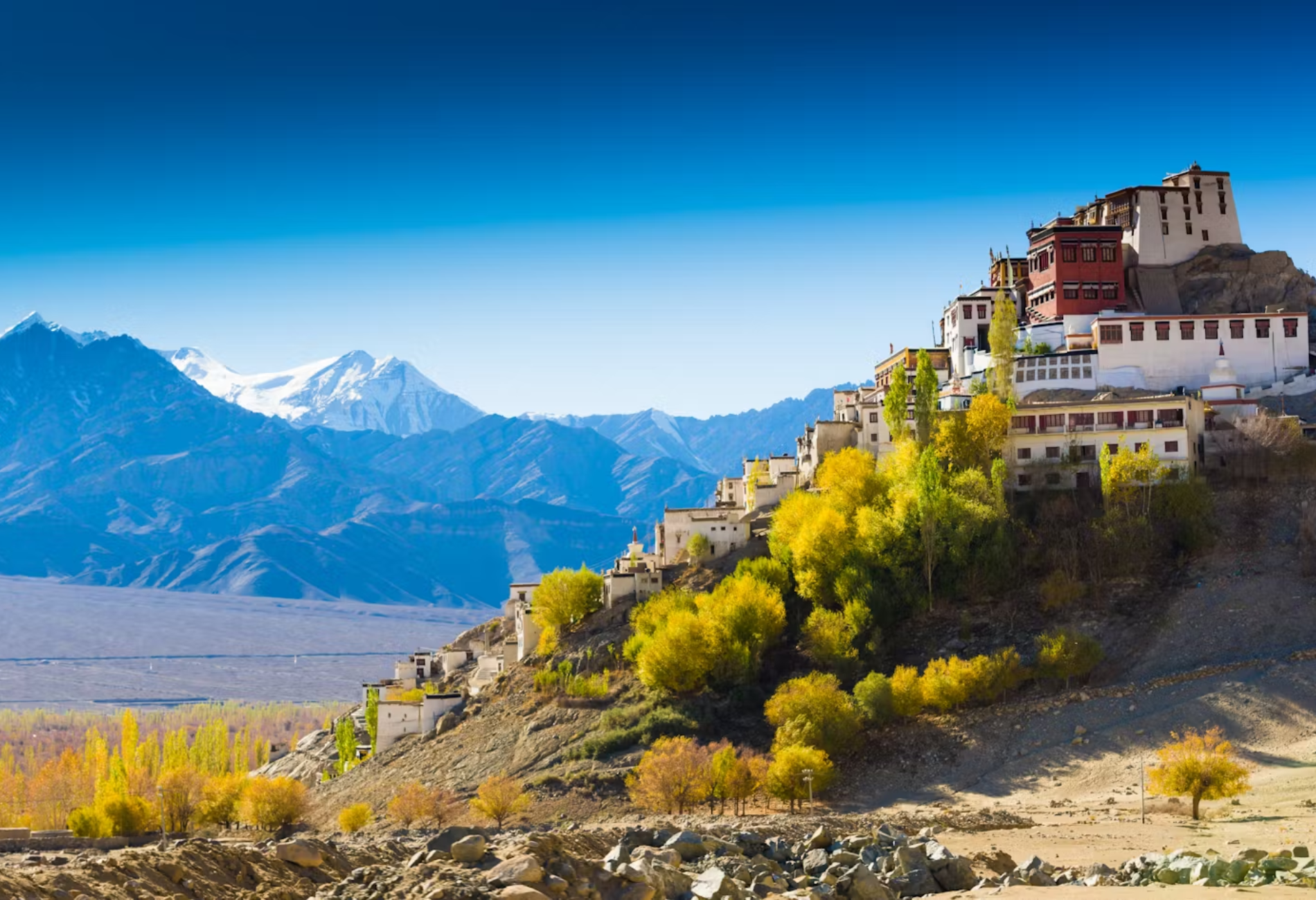 leh-sightseeing.png