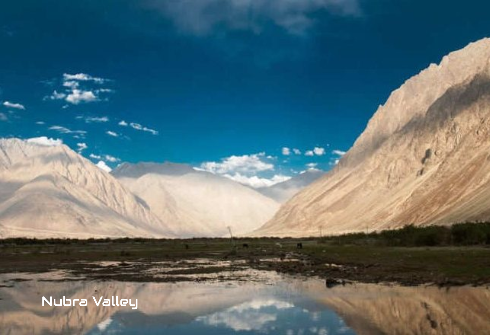 nubra-valley-sightseeing.png
