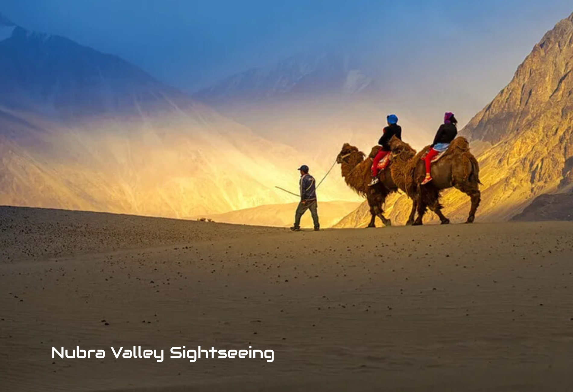 nubra-valley-sightseeing1.png
