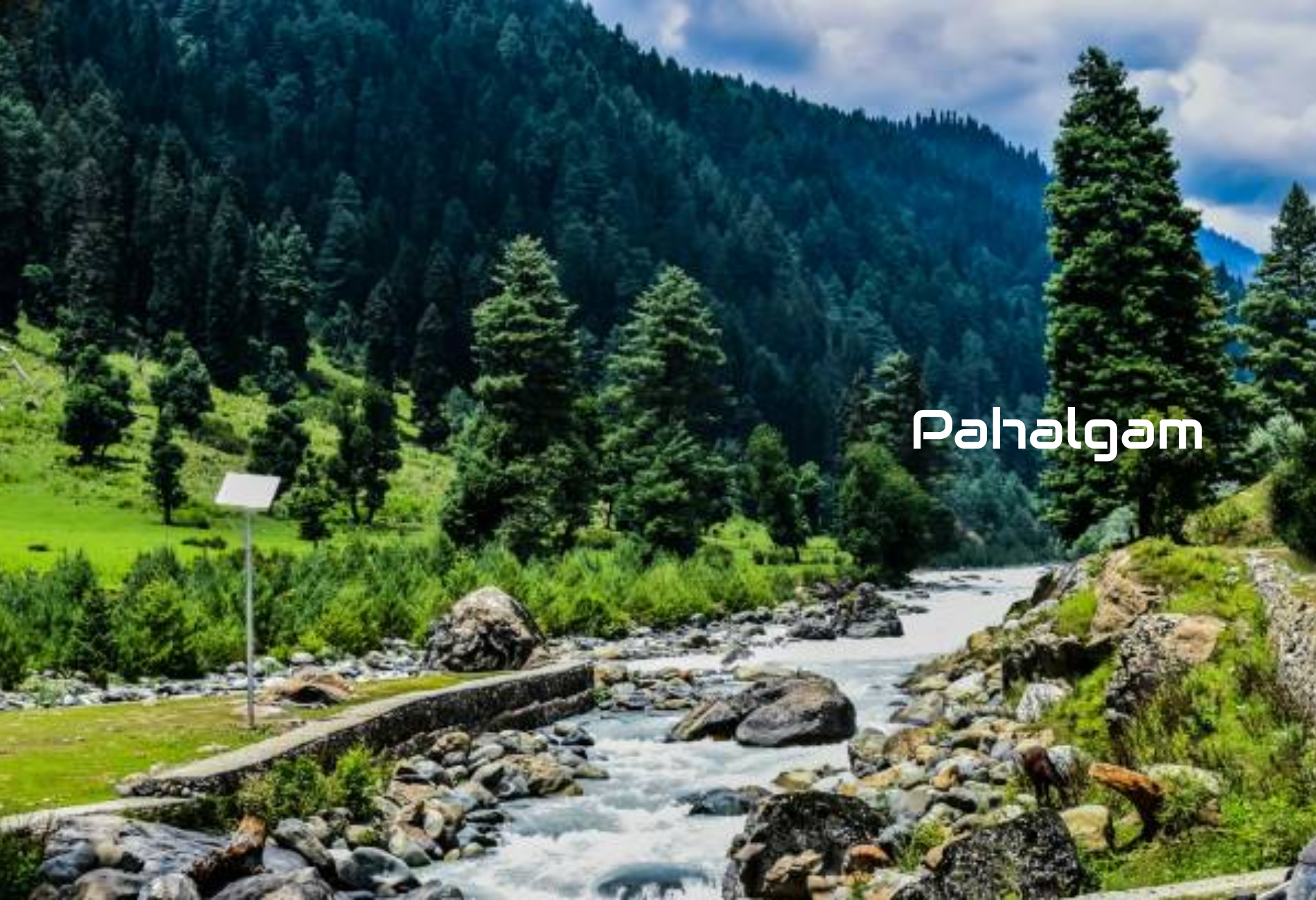 pahalgam-in-summer.png