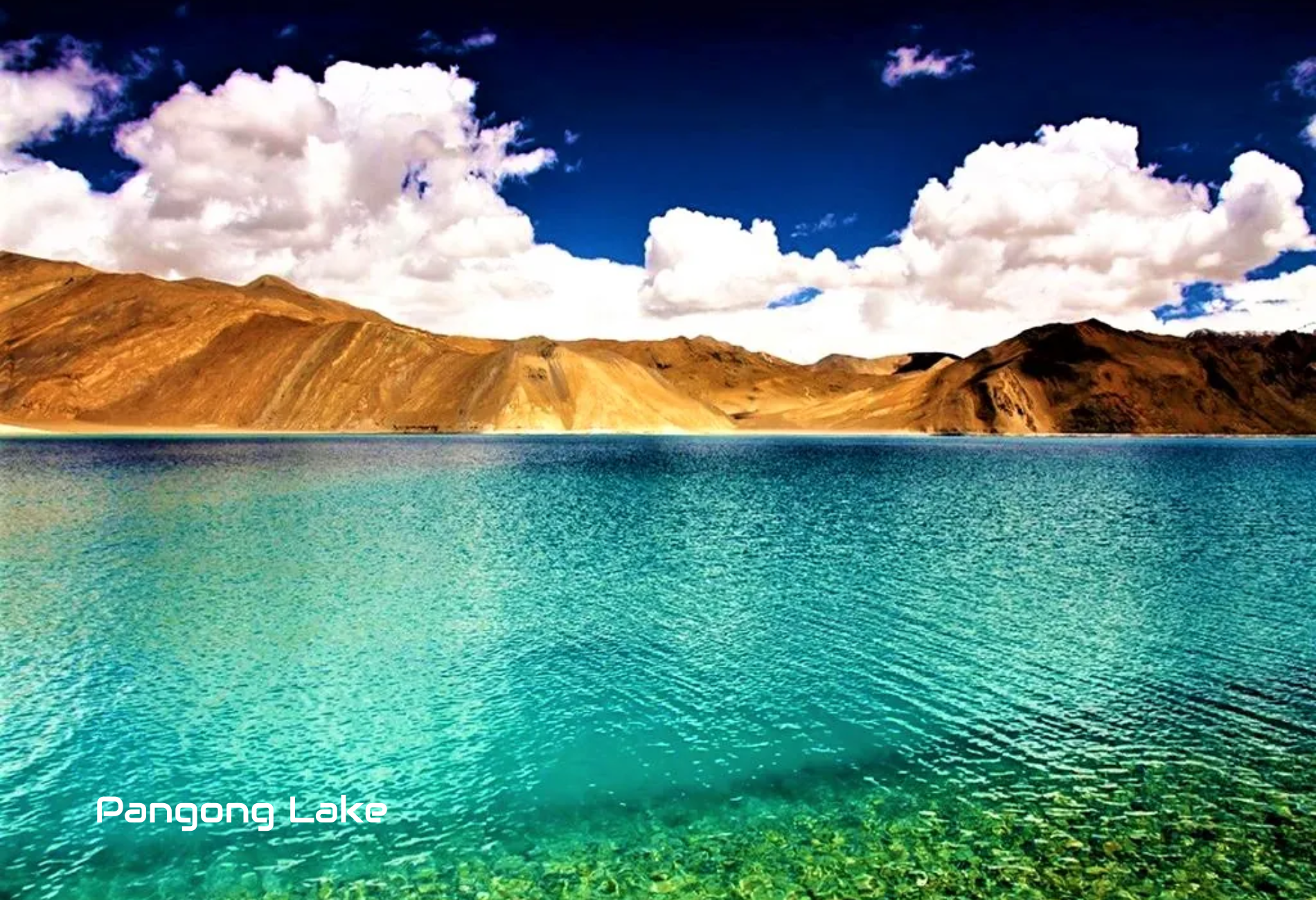pangong-lake-trip1.png