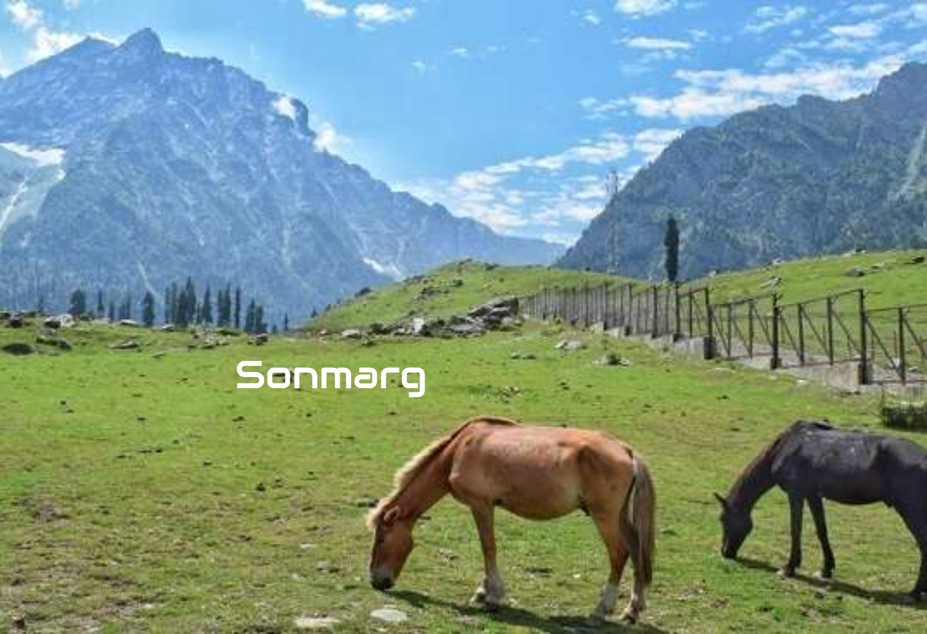 sonmarg-in-summer.png
