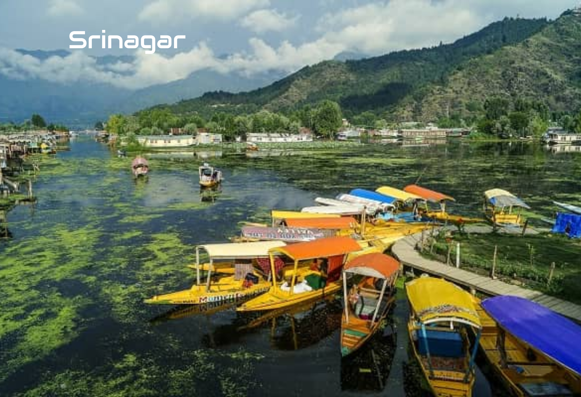 srinagar-sightseeing-dallake.png