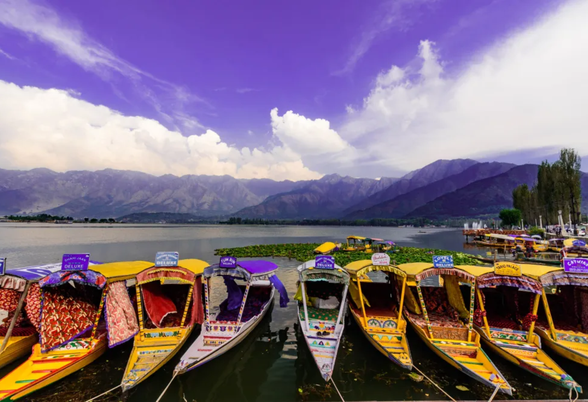 srinagar-sightseeing.png